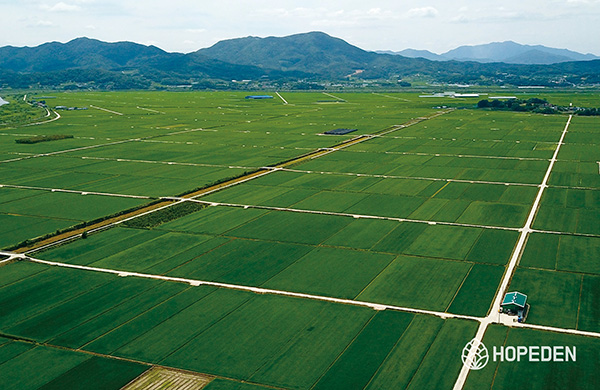 Angye-Danbuk Plain of West Uiseong, 1000 ha. size of rice plantation @Hopeden