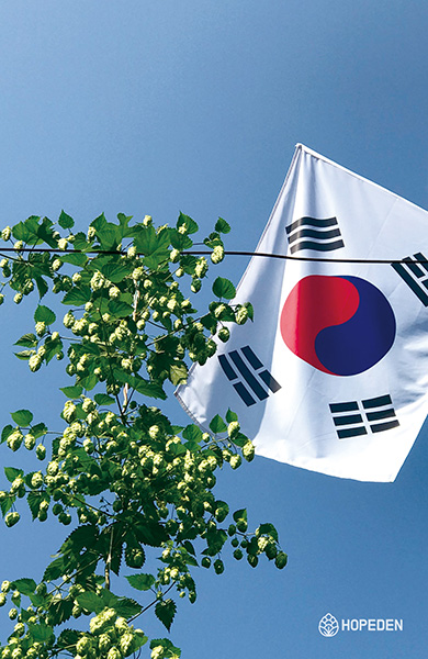 Koreanische Flagge und Hopfen, die lange Reise zur Hopfenwirtschaft @Hopeden