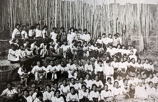 江原道平昌郡（カンウォンド·ピョンチャングン）の大和（デファ）ホープ農場に集まった収穫作業員たち（1958年8月）@Source。韓国のホップ栽培史